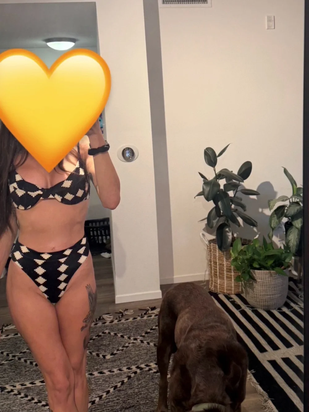 Darlin’ Ace print Josie style black  & cream  Bikini Bottoms